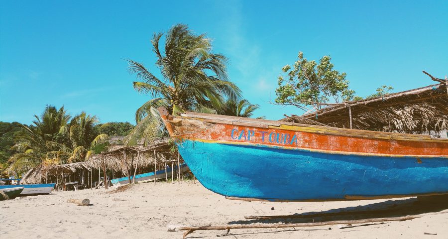 Strand Palmen Boot