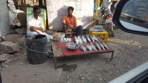 Verkäufer Fisch Stand Indien