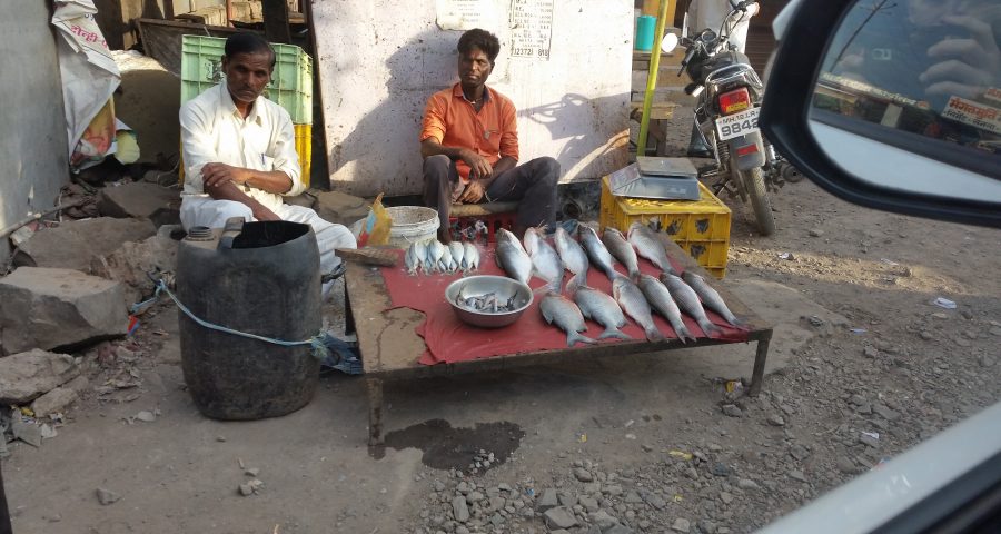 Verkäufer Fisch Stand Indien